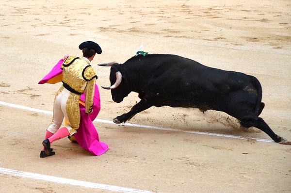 Bull fighting in Madrid 1