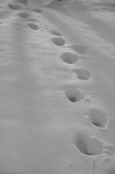 Foot steps in the snow by Chengdu