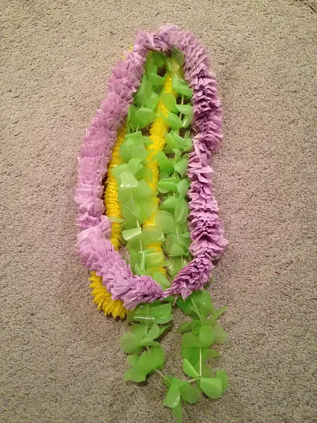 leis by BrianaWiley