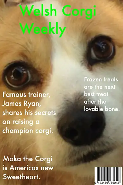 Welsh Corgi Weekly by RyanAvelino