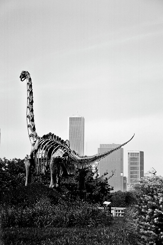 Dinosaur roams Chicago