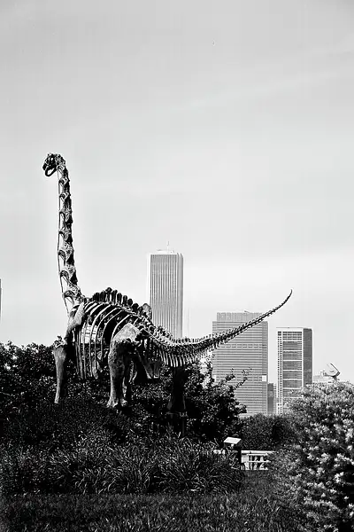 Dinosaur roams Chicago by Mario Rodolfo