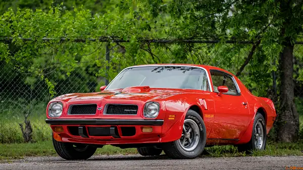 Texas Trans Am by TheImageEngine
