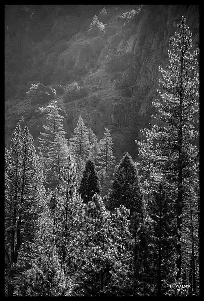 1505_10_Yosemite_047_BW by JKWalser