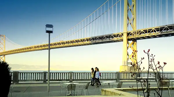 Bay Bridge - San Francisco by VinceSarubbi