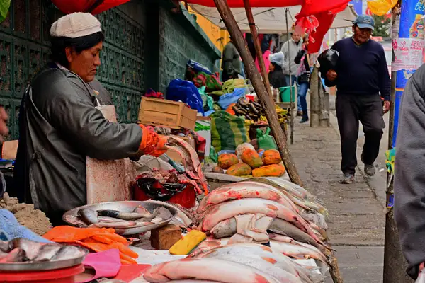 Fresh Fish For Sale by Photogenics