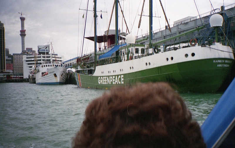 Cruising Auckland Harbour.