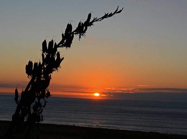 Sunset over Cape Palliser by Photogenics