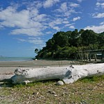 North Island - New Zealand