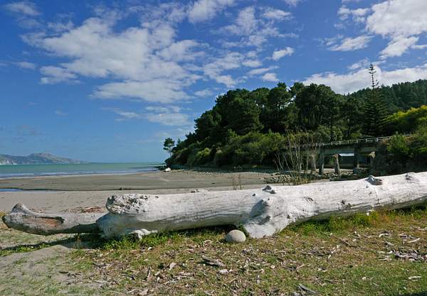 North Island - New Zealand by Photogenics
