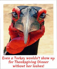 turkey-lashes