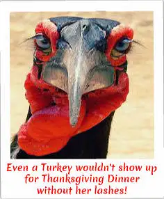 turkey-lashes by AngieSmith47433