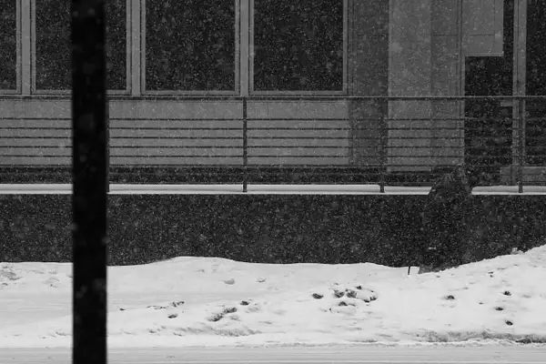 March snow '15 NYC/NJ by Neminem