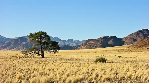 [Namibia] Lonely by TomHeylen