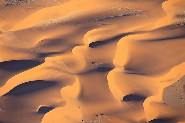 [Namibia] Desert Curves