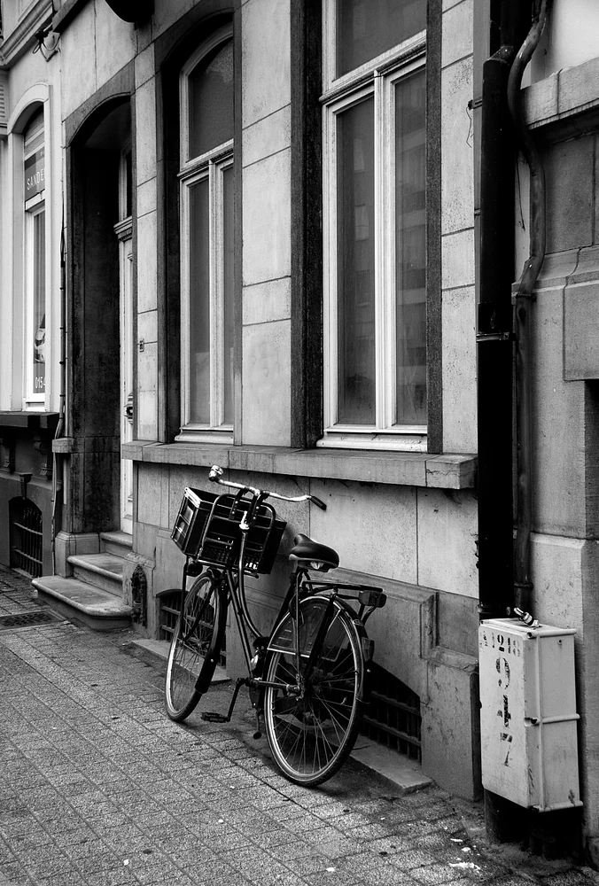 Vintage Bicycle Leaning Against a Historic Building