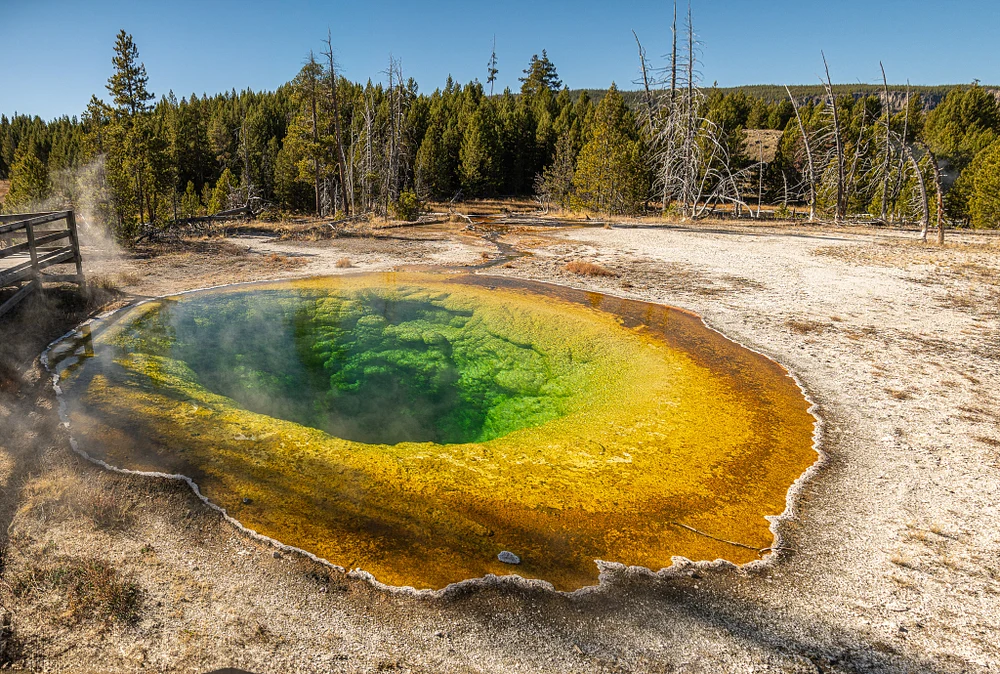 Vibrant Hot Spring in Yellowstone National Park