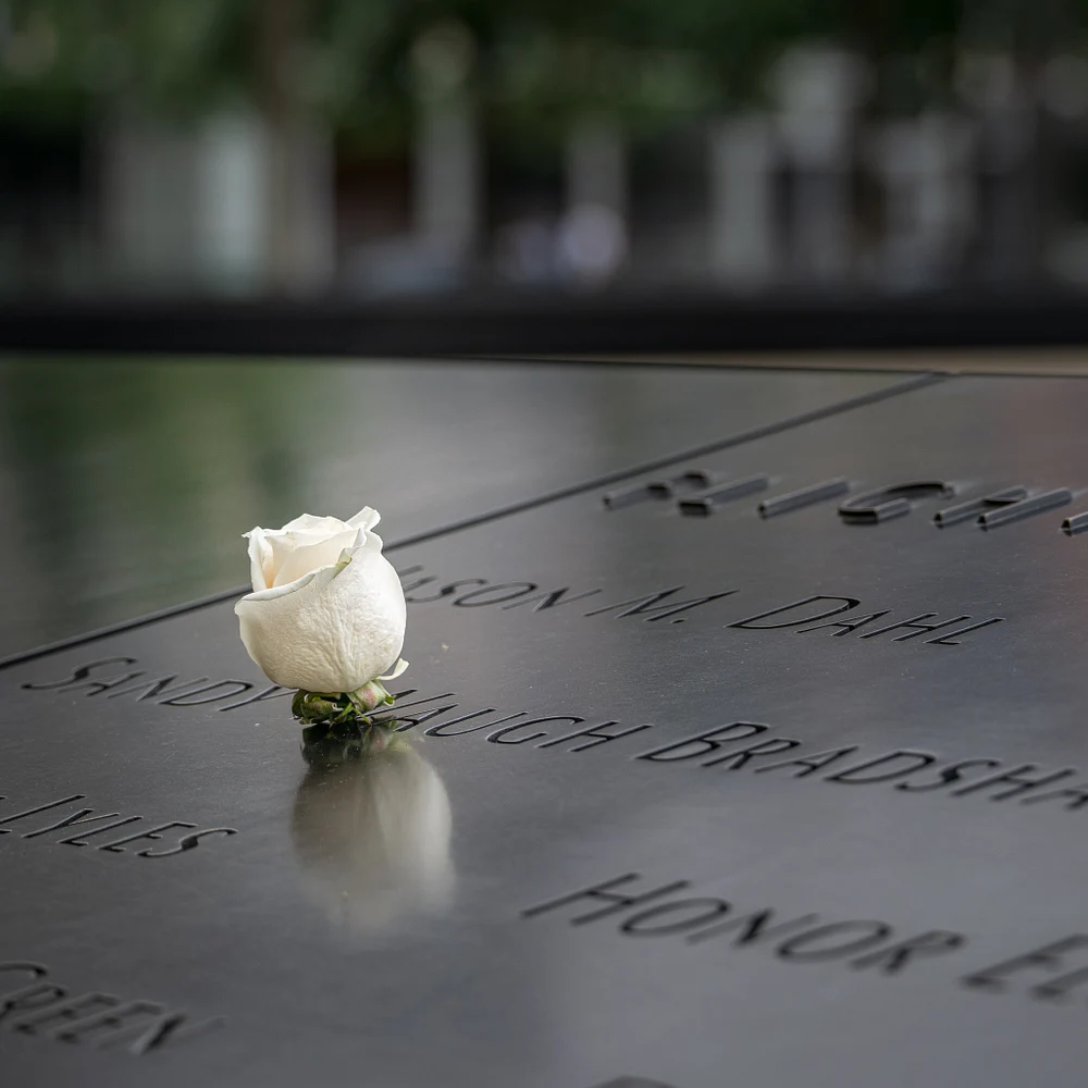White Rose at 9/11 Memorial in New York City