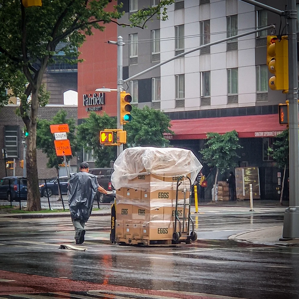 Rainy Day Delivery in New York City