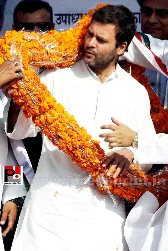 Rahul Gandhi campaigns at Pratapgarh (2)