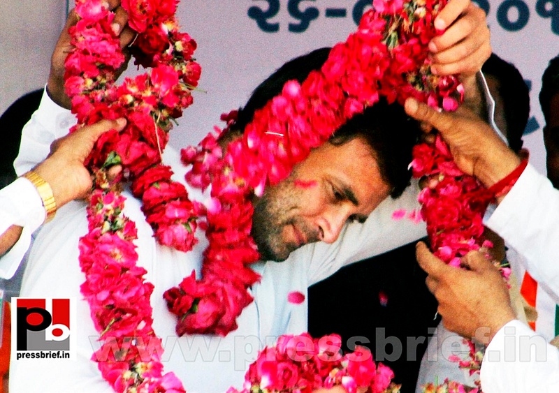 Rahul Gandhi campaigns in Gujarat (3)
