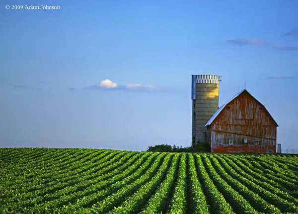 Minnesota Farm Scene by Adam Johnson