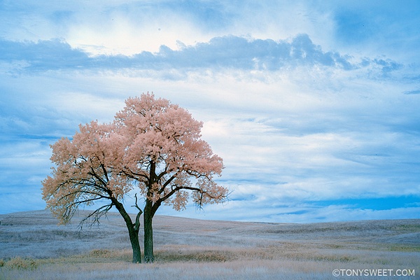 color infrared