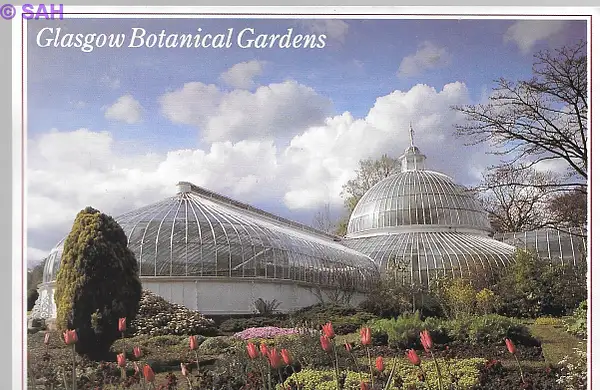 Glasgow Botanical Gardens by Stuart Alexander Hamilton