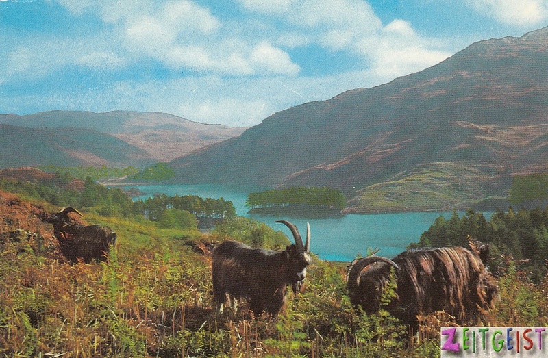 Loch Trool with mountain goats - vintage Scotland postcard