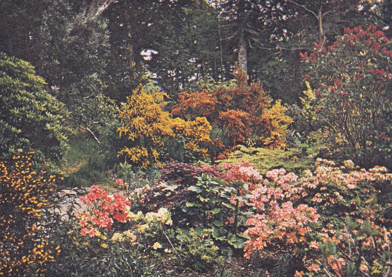 Inverewe Gardens, Poolewe, Ross-shire
