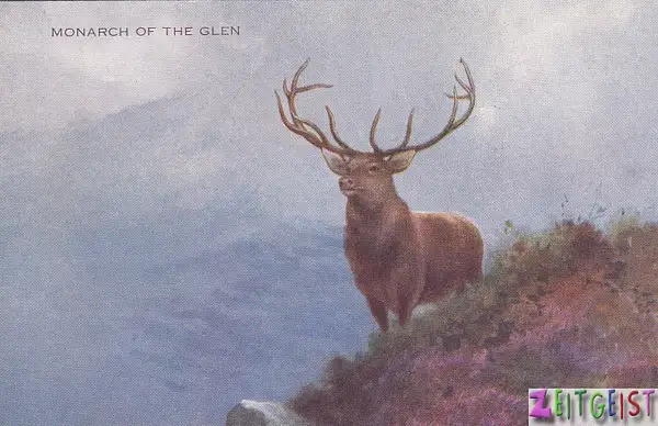 Monarch of the Glen by Stuart Alexander Hamilton