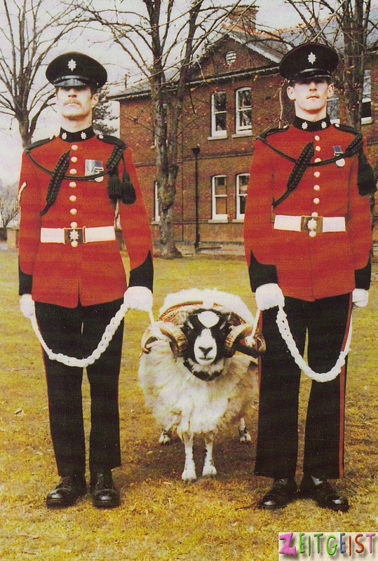 Worcestershire & Sherwood Foresters Regiment with mascot