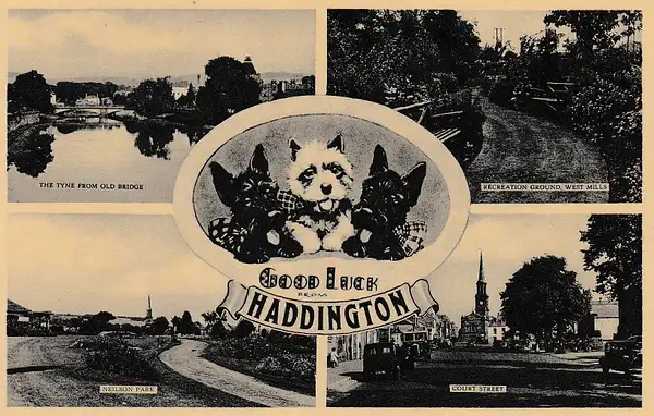 Haddington, East Lothian, multiview w/Scottie dogs by...