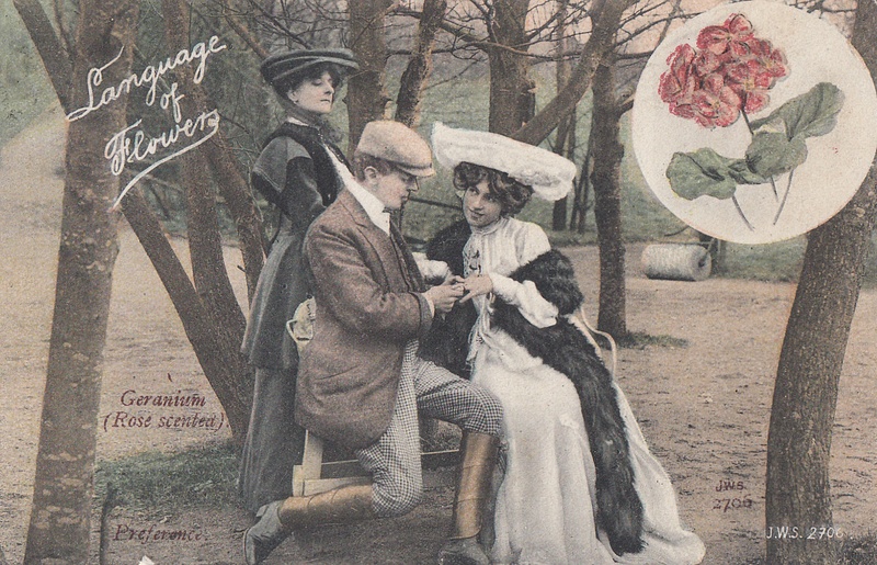 Language of Flowers antique postcard