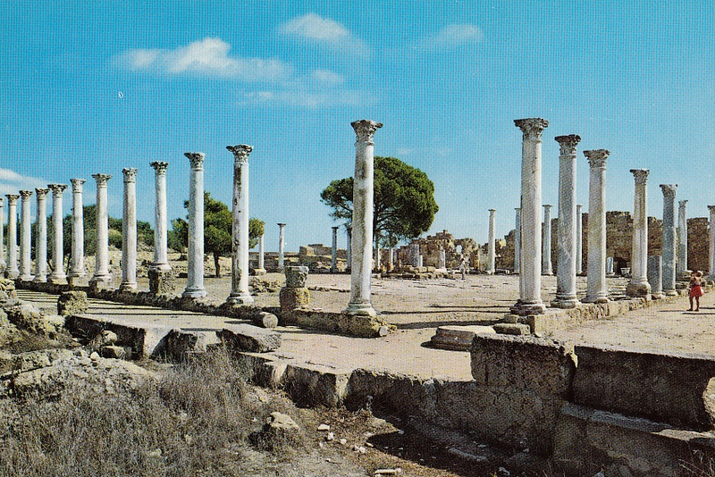 The ancient gymnasium of Salamis, Cyprus