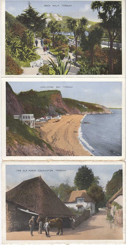 Torquay, Devon - Daino Color 9 view vintage lettercard