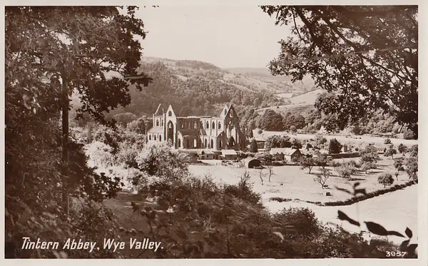 Tintern Abbey, Wye Valley - Wales by Stuart Alexander...