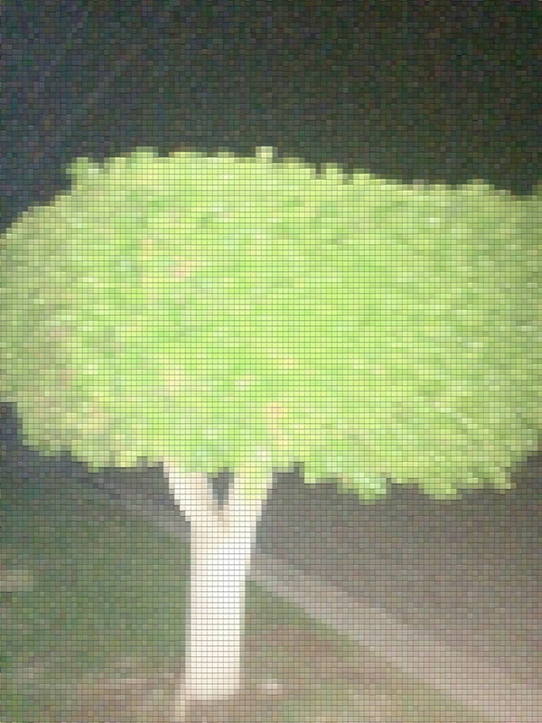 tree filter