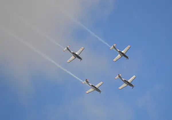 Silver Swallows (Irish Air Corps) by GrahamCooke