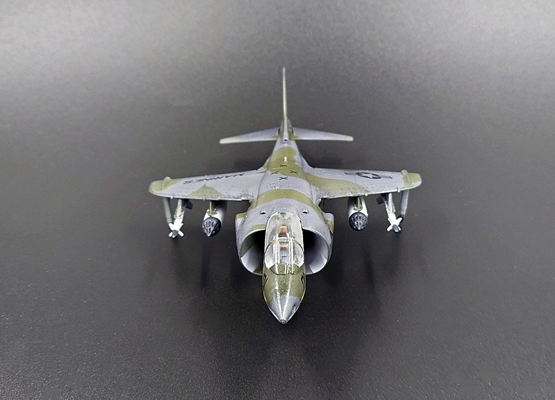 Harrier3