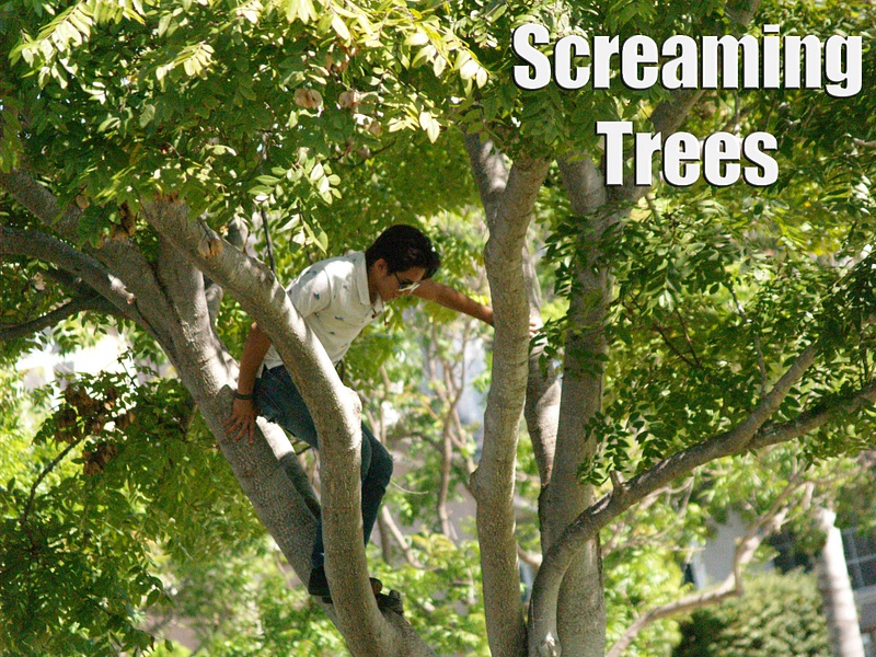 screaming trees