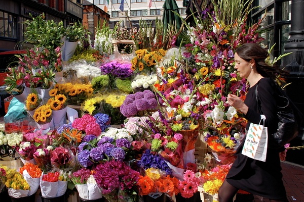 Irish Flower Market