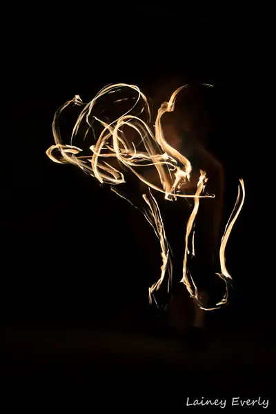 Long exposure of palm torches by Elaine Everly