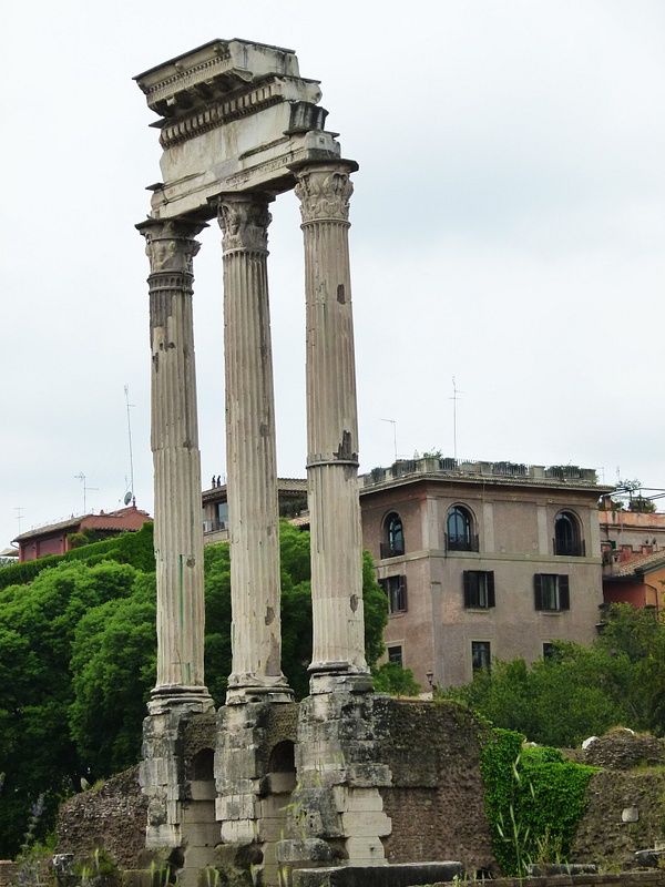 5. The Roman Forum