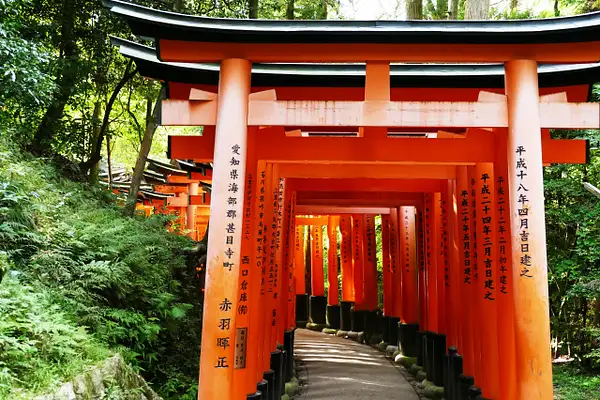 128. Fushimi Inari-taisha Shrine by EdCerier