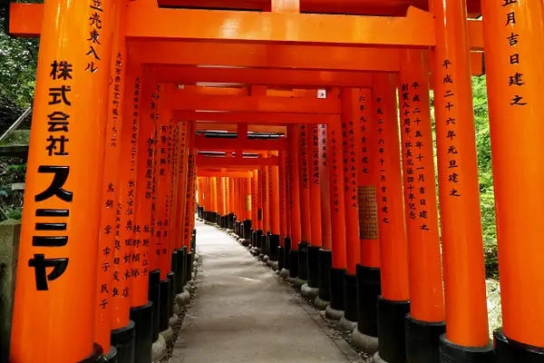 129. Fushimi Inari-taisha Shrine by EdCerier