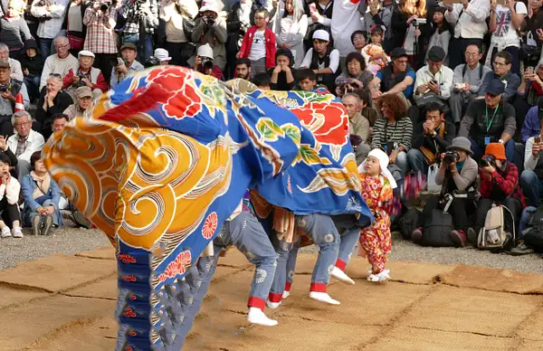 55. Shishimai Lion Dance by EdCerier
