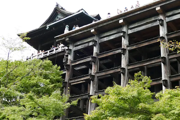 81. Kiyomizu-Dera Temple,Pillars, Main Hall by EdCerier