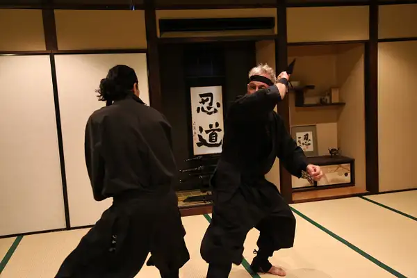 119. Ninja Dojo Class by EdCerier