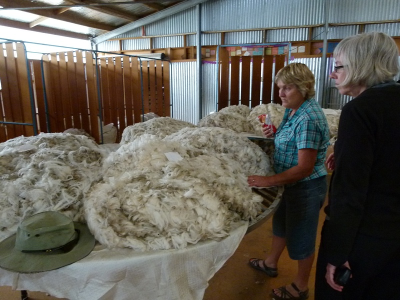 50. Sheep shearing barn